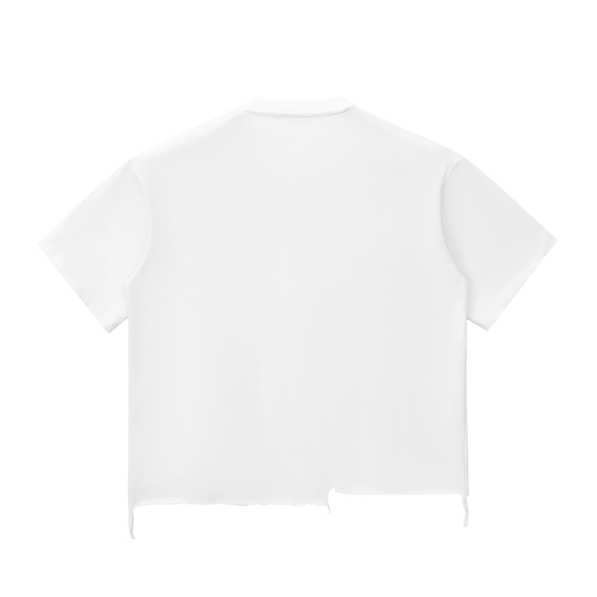 HÉRITIERS FANTÔMES // SNOW WASH TS
