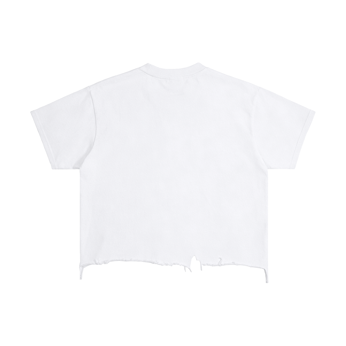 HÉRITIERS FANTÔMES // VINTAGE WASH TS